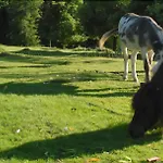 Restaurant Les Jardins De Sophie 4* Xonrupt-Longemer