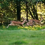 Restaurant Les Jardins De Sophie Hotel