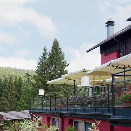 Restaurant Les Jardins De Sophie 4* Xonrupt-Longemer