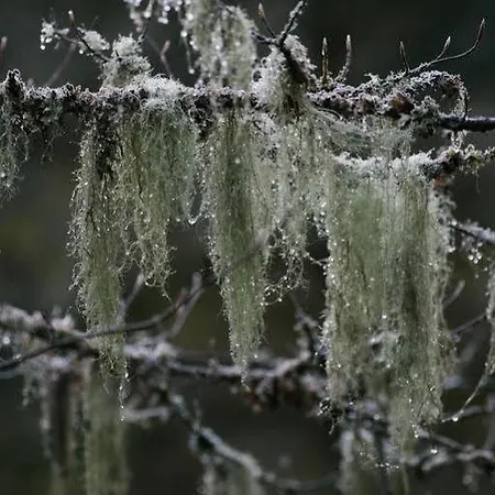 Les Jardins De Sophie 4*