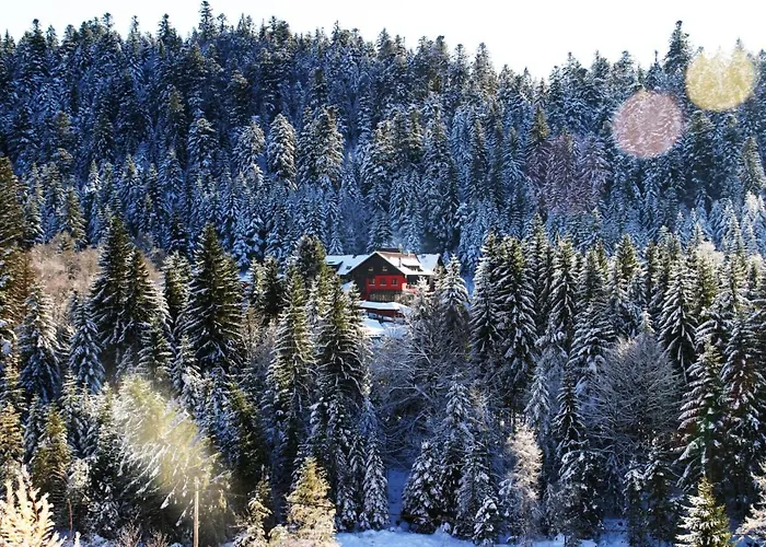 Les Jardins De Sophie Hotel Xonrupt-Longemer