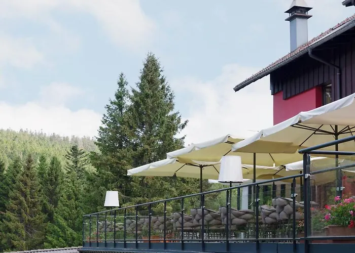 Les Jardins De Sophie 4* Xonrupt-Longemer