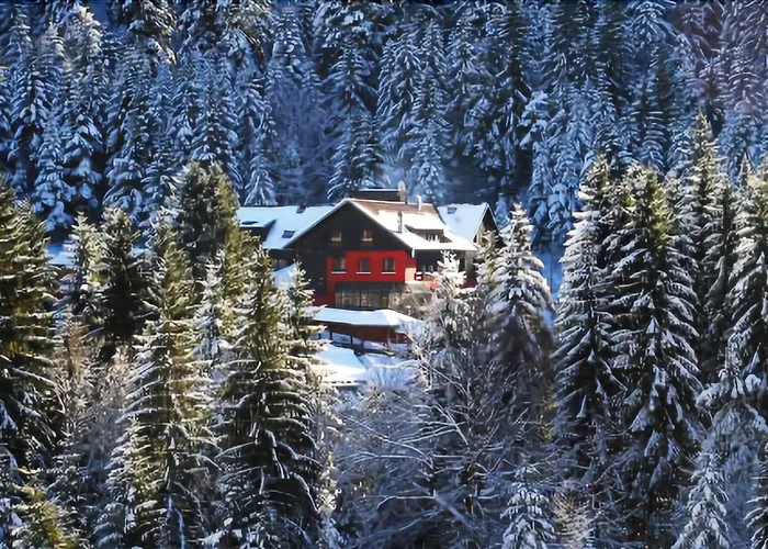 Hotel Les Jardins De Sophie