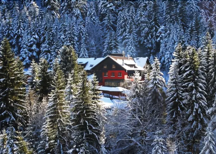 Hotel Les Jardins De Sophie 4*